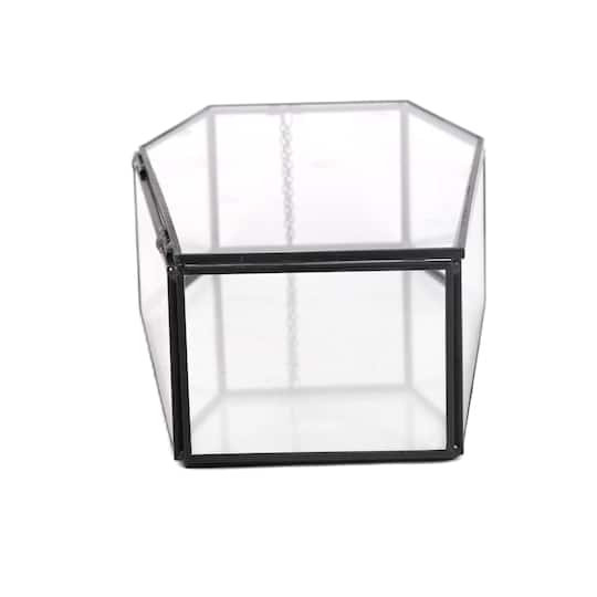 Clear Glass Terrarium Coffin with Lid by Ashland